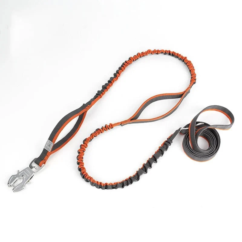 Laisse tactique pour chien