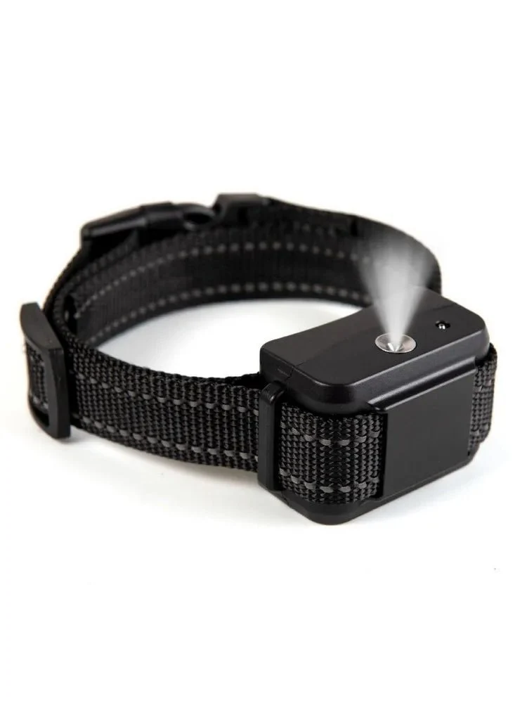Collier anti aboiement a la citronnelle pour petit chien
