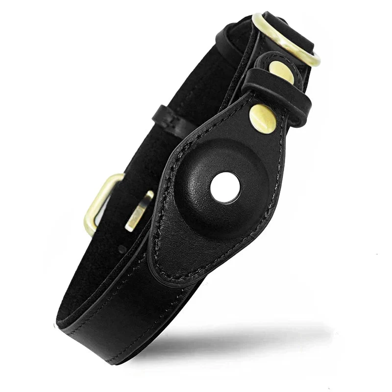 Collier chien airtag cuir