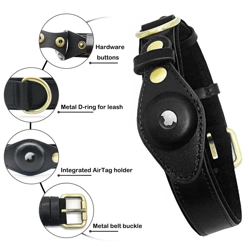 Collier chien airtag cuir