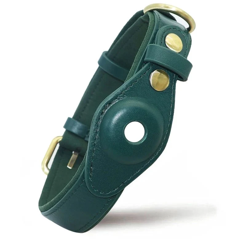 Collier chien airtag cuir