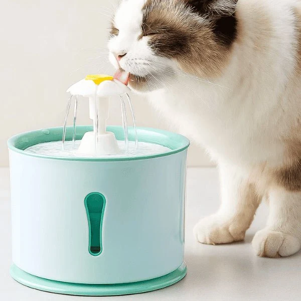 Fontaine eau chat cascade avec gamelle - Hydroflor™