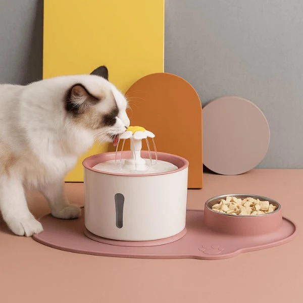 Fontaine eau chat cascade avec gamelle - Hydroflor™