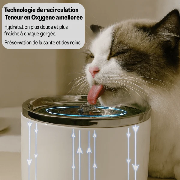 Fontaine à eau pour chat céramique silencieuse : CrystalPaws™
