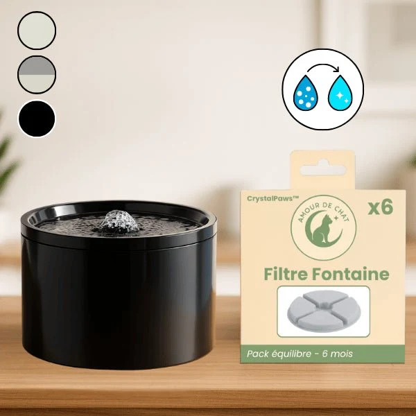 Fontaine à eau pour chat céramique silencieuse : CrystalPaws™