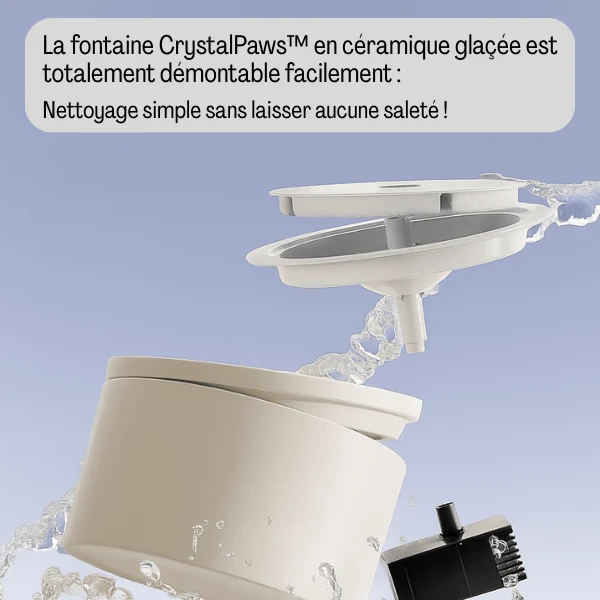 Fontaine à eau pour chat céramique silencieuse : CrystalPaws™