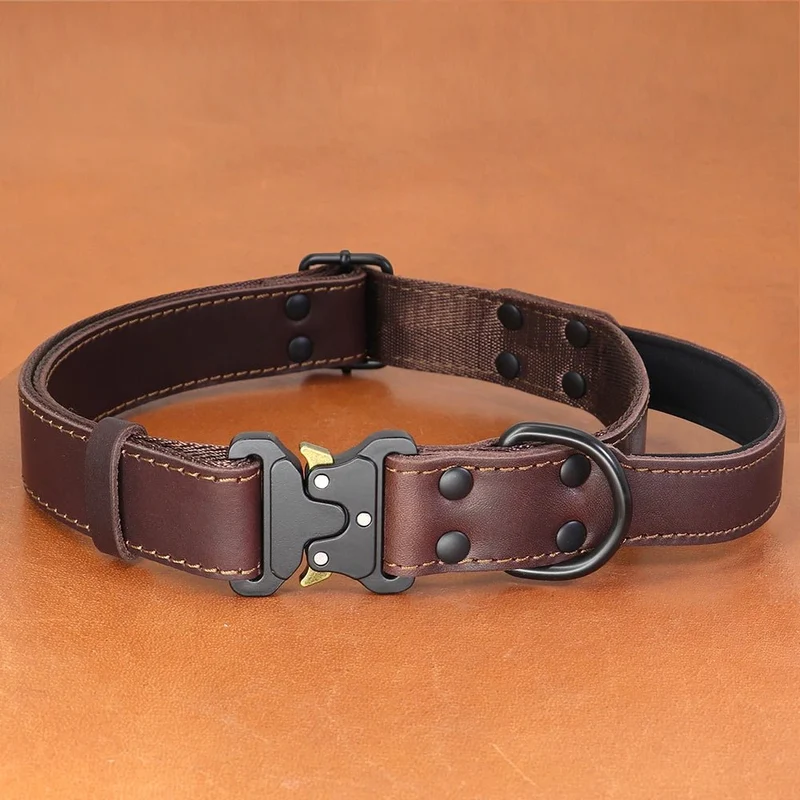 Collier chien cuir luxe