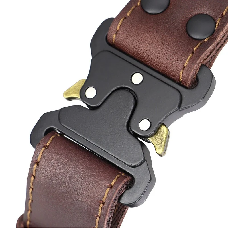 Collier chien cuir luxe