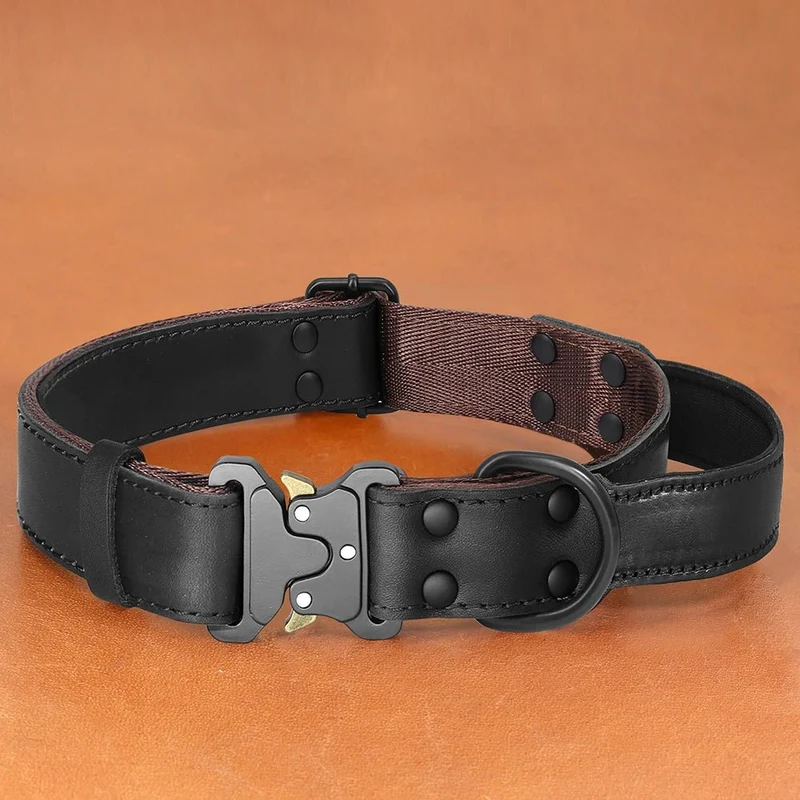Collier chien cuir luxe