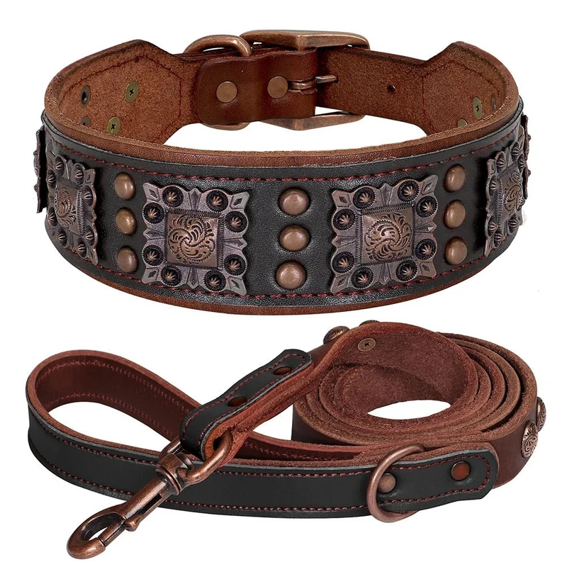 Collier chien cuir large