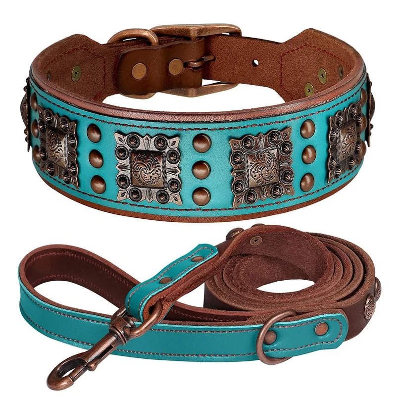 Collier chien cuir large