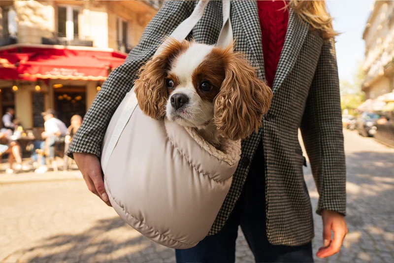 Sac pour chien, motif uni crème