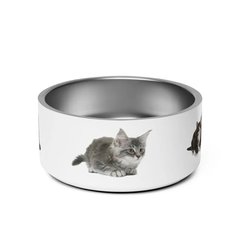 Gamelle Exclusive Maine Coon