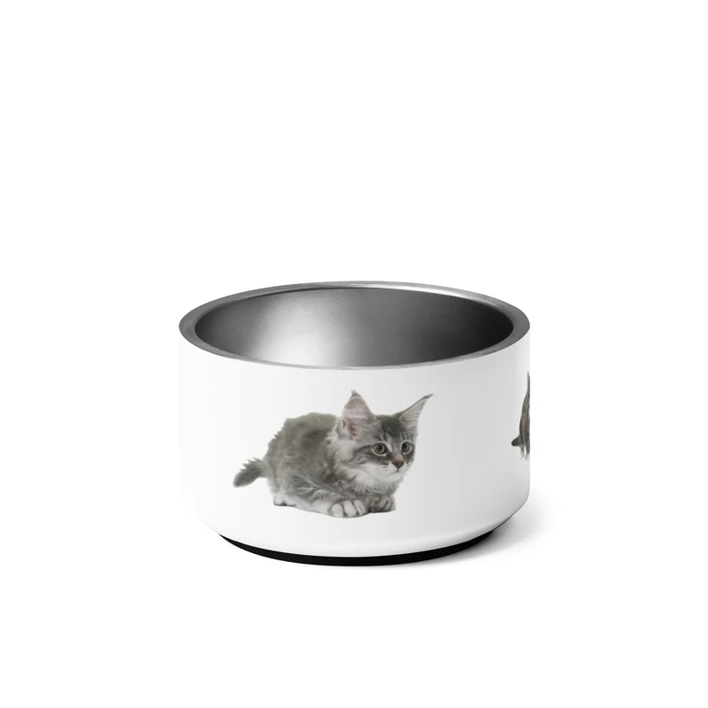 Gamelle Exclusive Maine Coon
