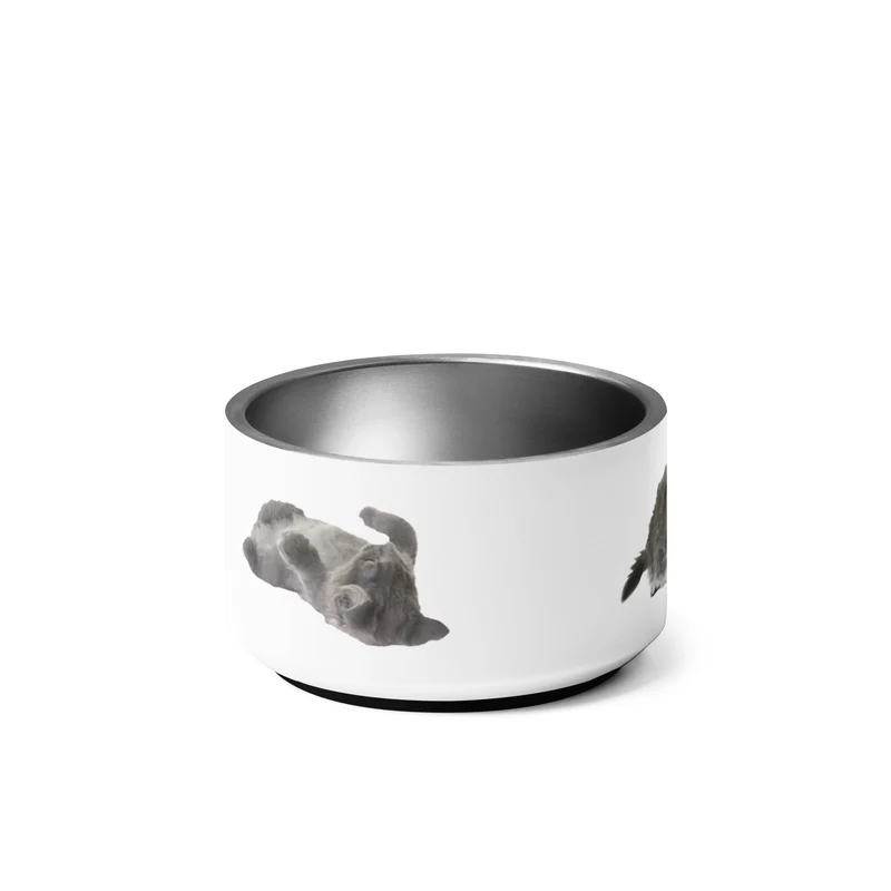Gamelle Exclusive Maine Coon
