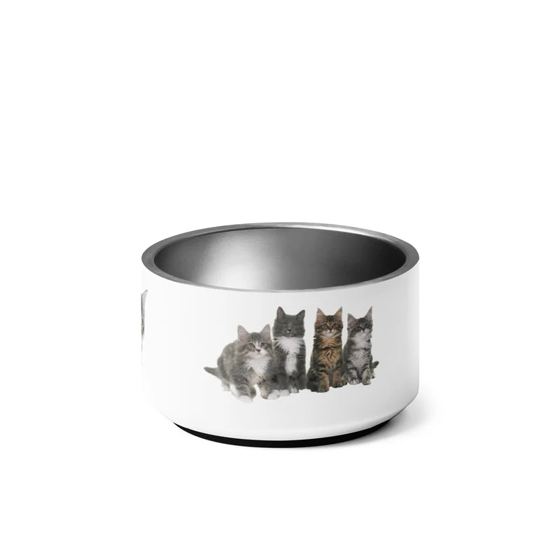 Gamelle Exclusive Maine Coon