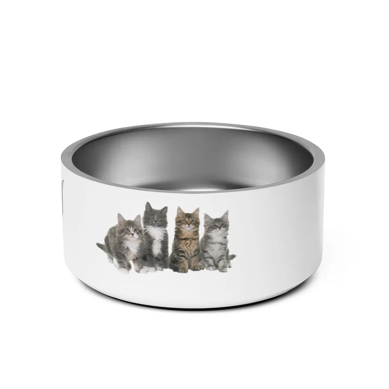 Gamelle Exclusive Maine Coon