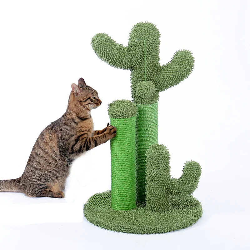 Griffoir Cactus