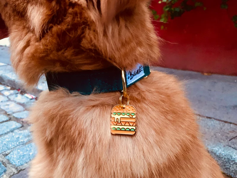 Médaille burger pour chien