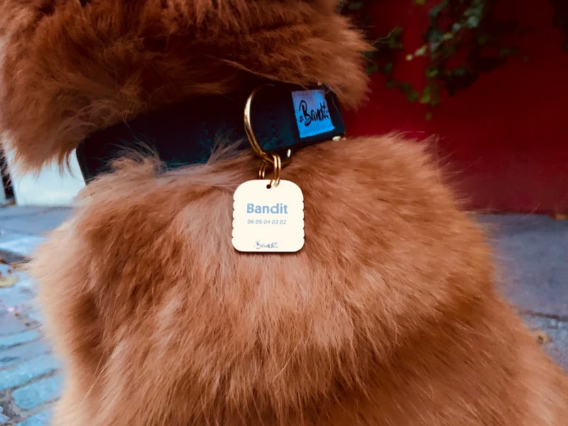 Médaille burger pour chien