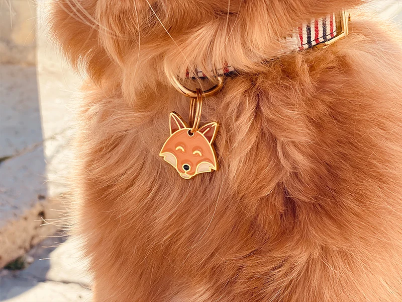 Médaille renard pour chien