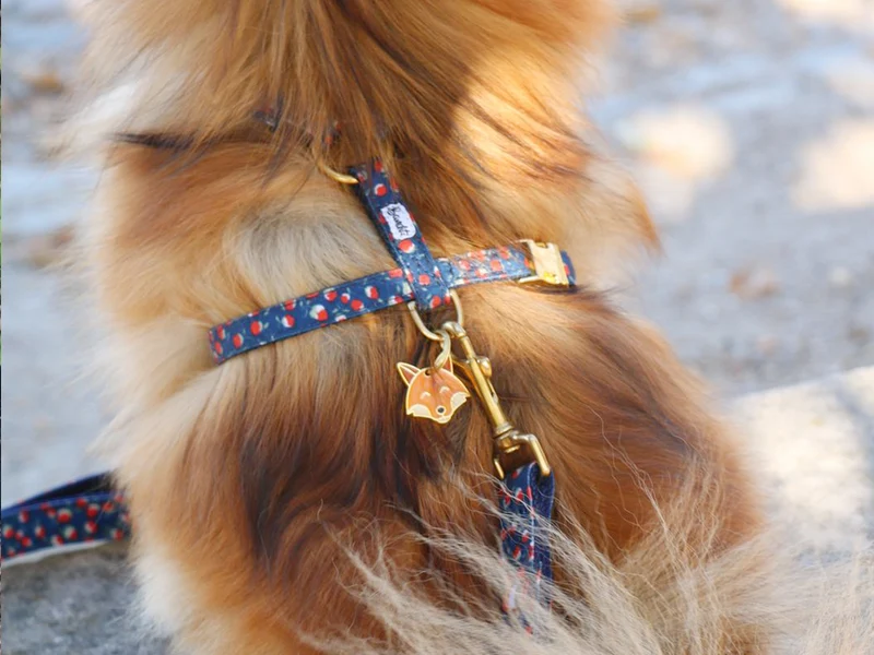 Médaille renard pour chien