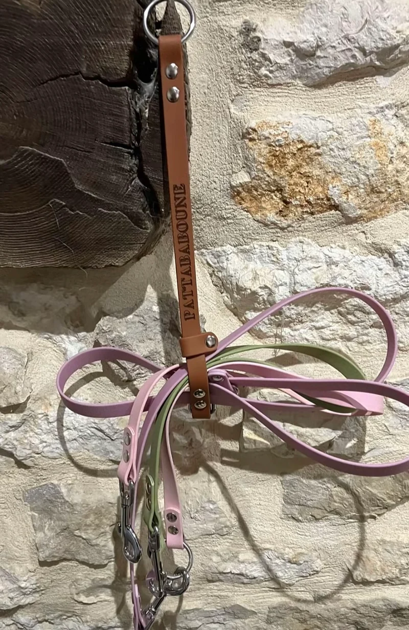 Porte-longe et laisse personnalisé en biothane 16 mm - Édition limitée Léopard