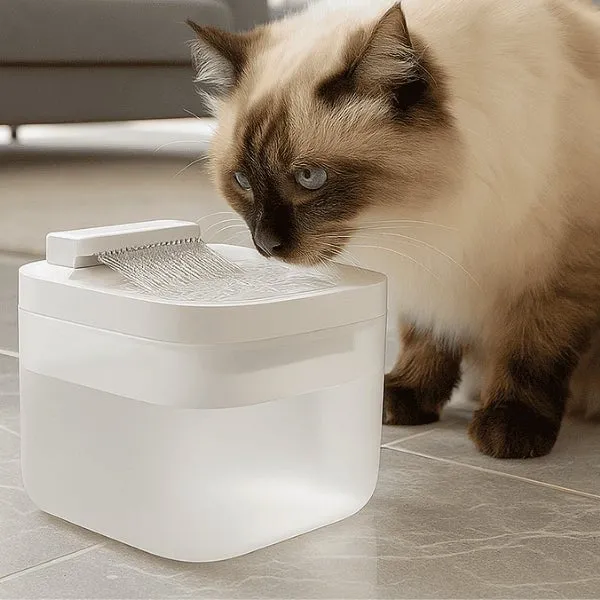 Fontaine à eau pour chat multi-jets stimulants – Nekoliss™