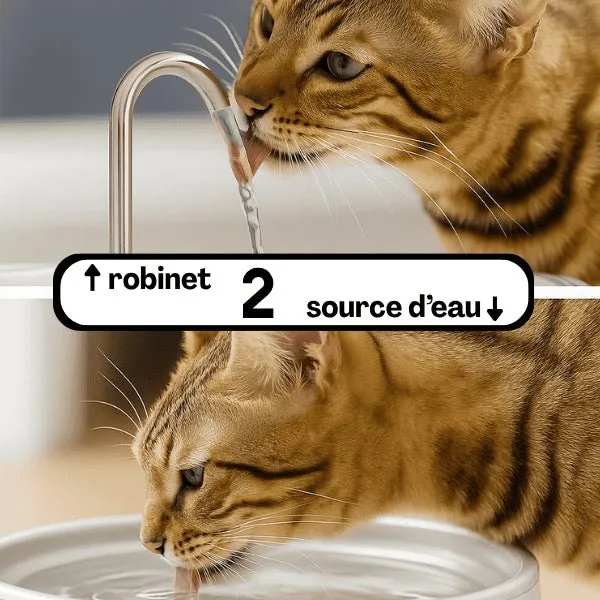 Fontaine à eau chat en inox à robinet continu – Ionix™