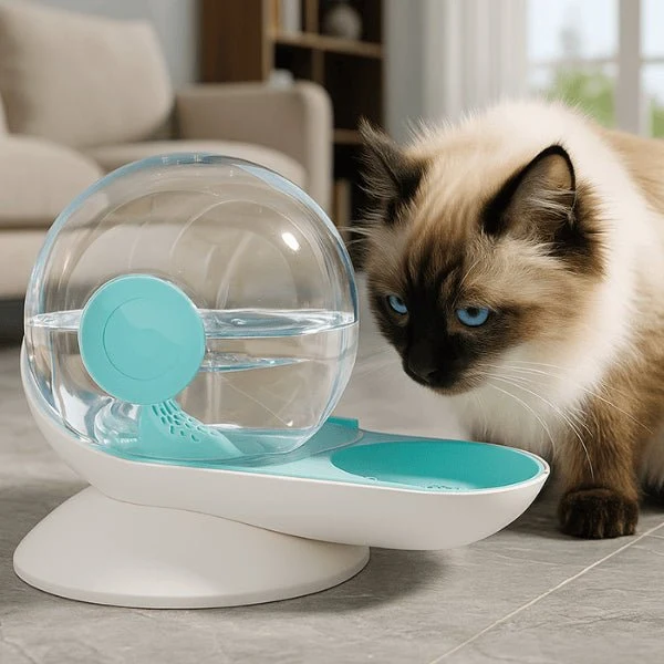 Fontaine à eau chat sans électricité - CosmO™ : Design et filtrée