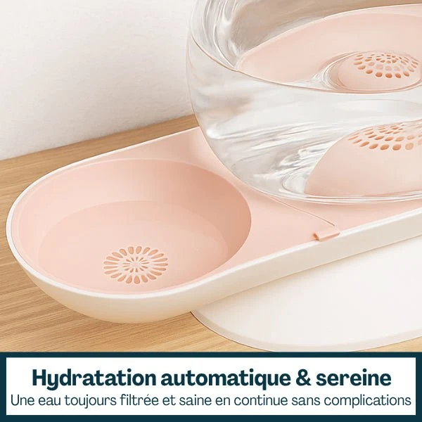 Fontaine à eau chat sans électricité - CosmO™ : Design et filtrée