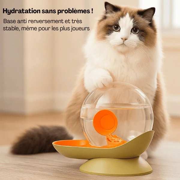 Fontaine à eau chat sans électricité - CosmO™ : Design et filtrée