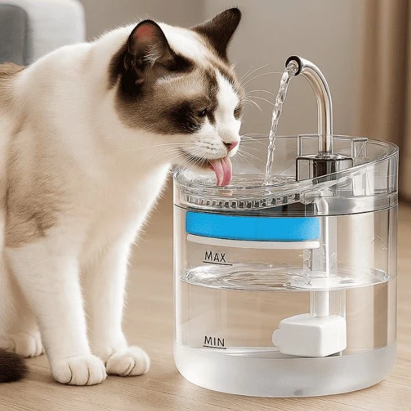 Fontaine à chat transparente à robinet – Crystalis™