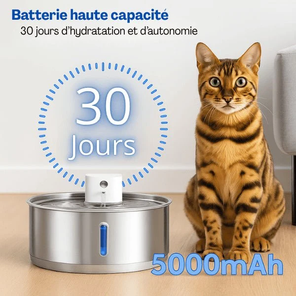 Fontaine pour chat - intelligente sans fil en inox – Catronic™