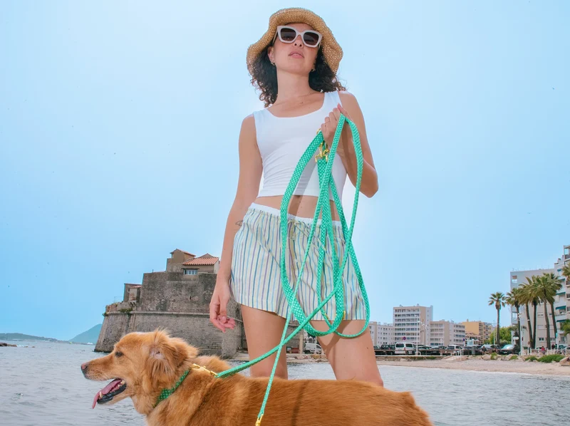 Laisse pour chien imprimé à carreaux vert orné de fleurs.