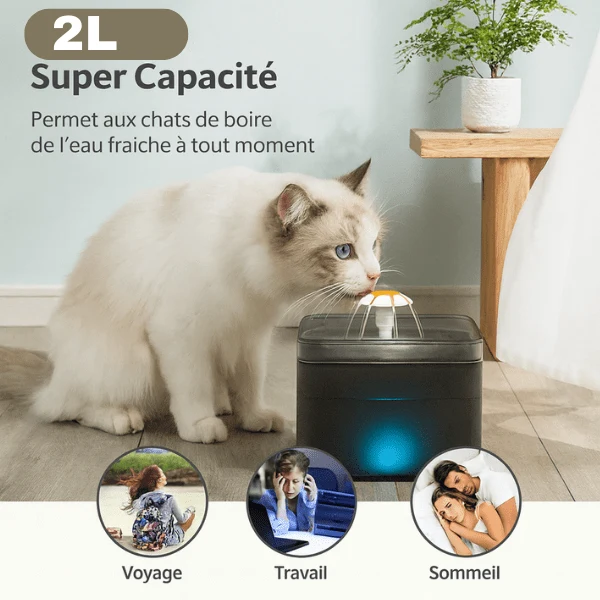 Fontaine à eau pour chat - cascade silencieuse à LED - PearlFlow™