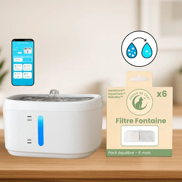 Fontaine à eau pour chat connectée - suivi contrôlé : AquaTech™