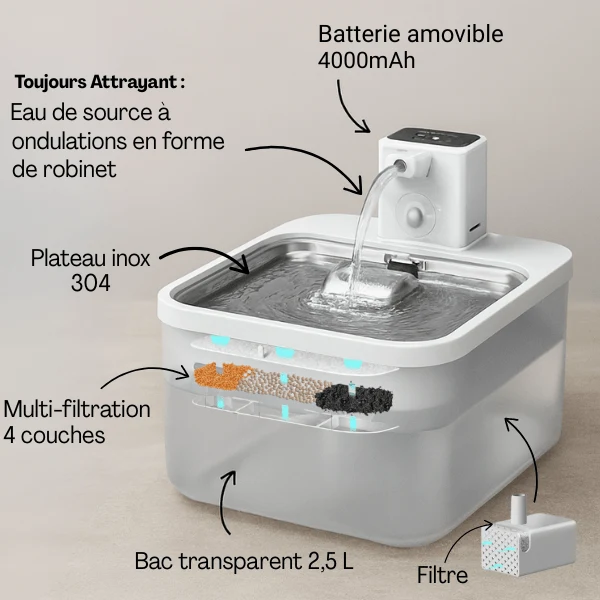 Fontaine à eau pour chat antibactérienne - hygiénique : Olyss™