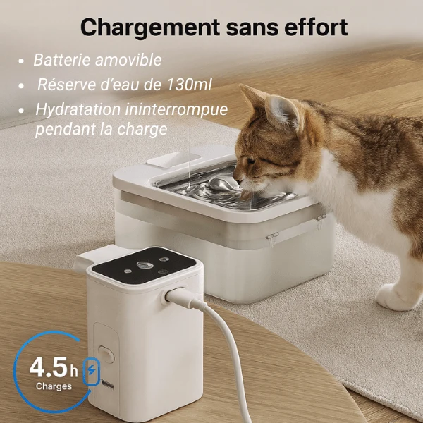 Fontaine à eau pour chat antibactérienne - hygiénique : Olyss™