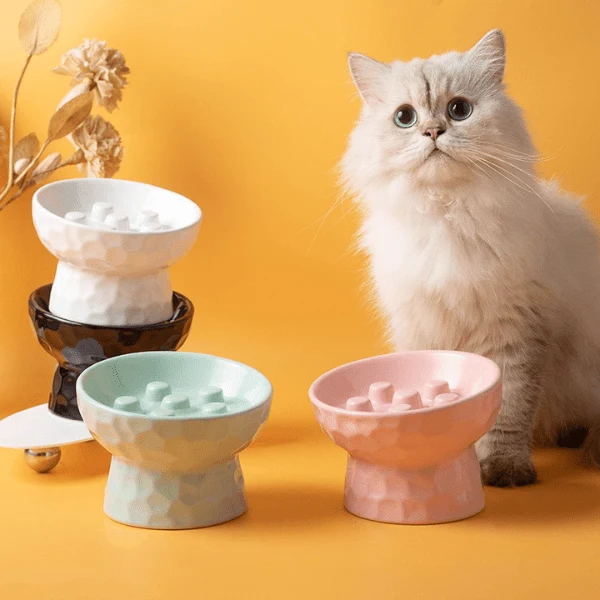 Gamelle ludique pour chat - Céramique surélevée à plots - PawSlow™