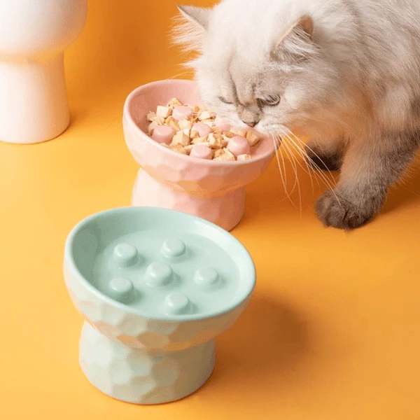 Gamelle ludique pour chat - Céramique surélevée à plots - PawSlow™