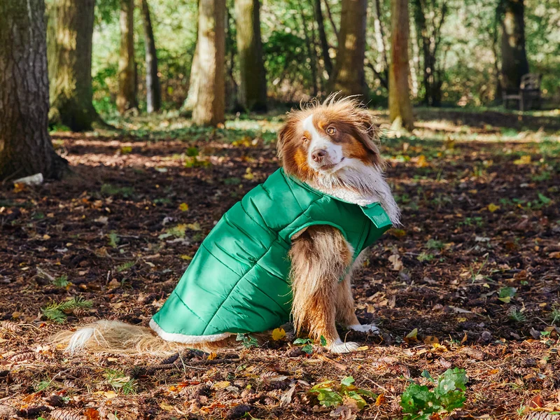 Doudoune épaisse pour chien