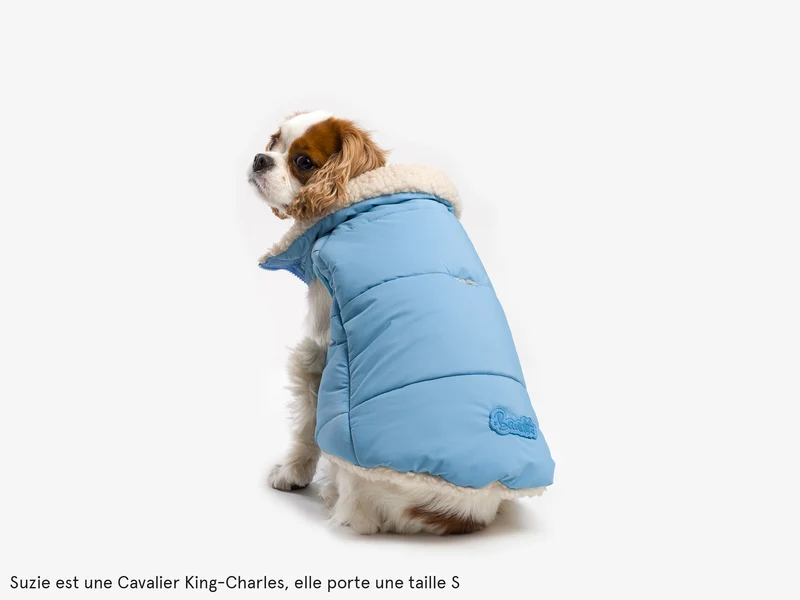 Doudoune épaisse pour chien