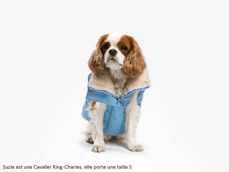 Doudoune épaisse pour chien