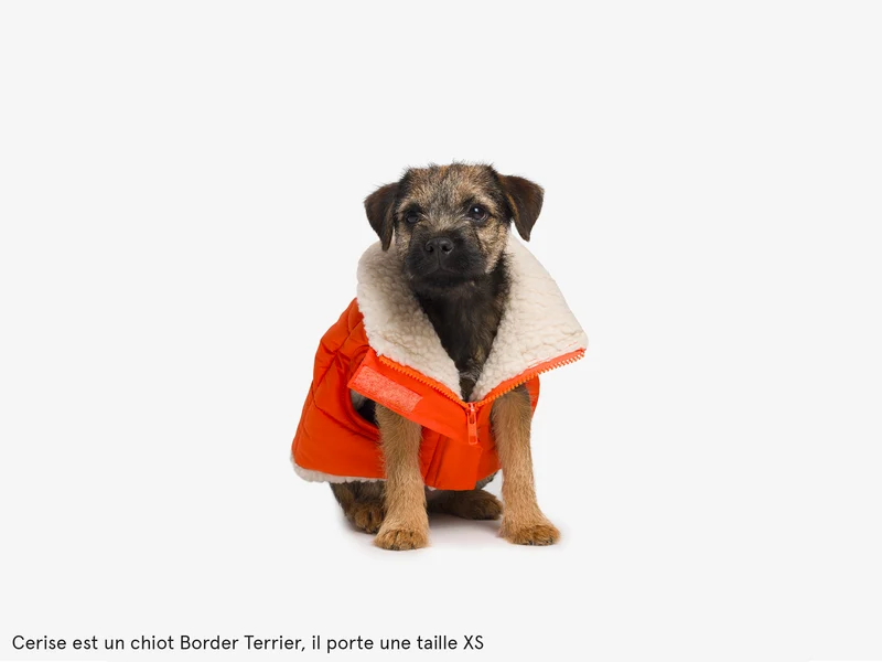 Doudoune épaisse pour chien