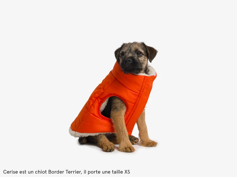 Doudoune épaisse pour chien