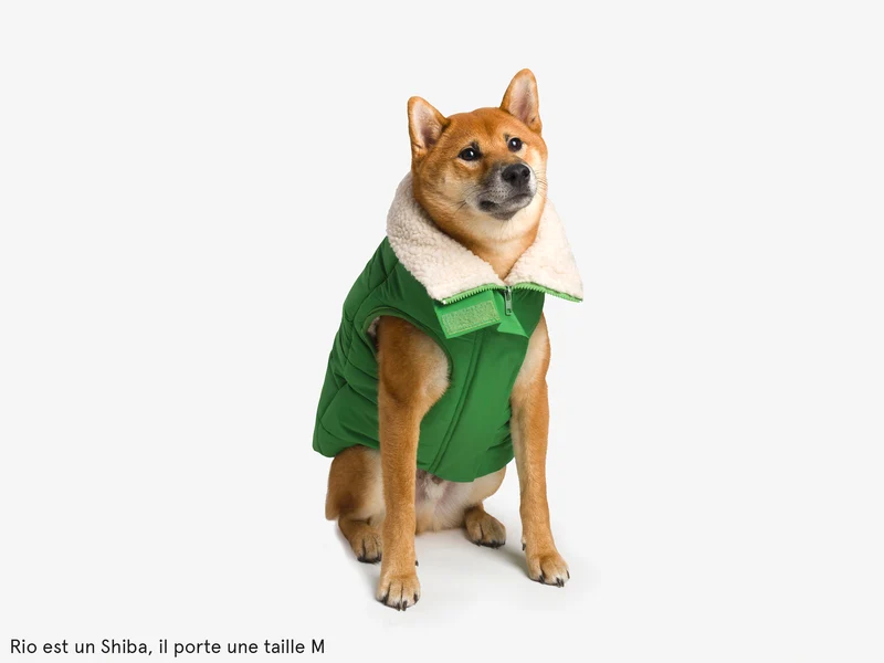 Doudoune épaisse pour chien