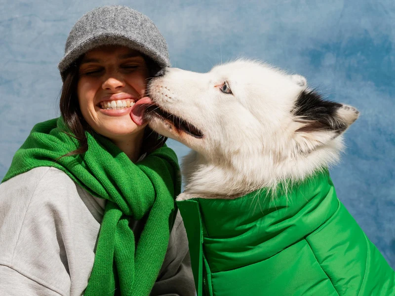 Doudoune épaisse pour chien