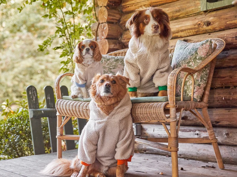 Hoodie en sherpa tout doux, pour chien