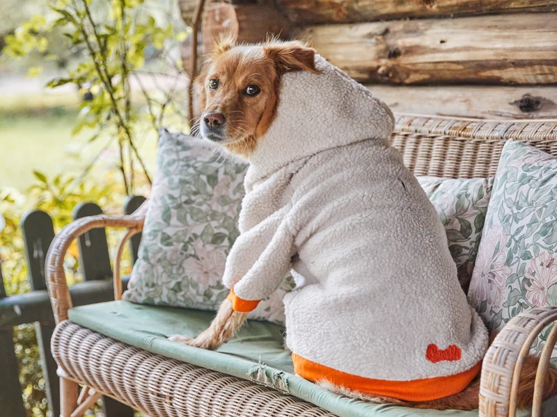 Hoodie en sherpa tout doux, pour chien